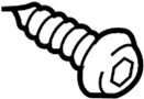 View Screw. Striker.  Full-Sized Product Image