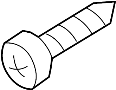 View Fog Light Screw Full-Sized Product Image