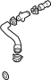 View Radiator Coolant Hose (Upper) Full-Sized Product Image