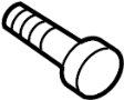 View Door Interior Trim Panel Screw (Rear) Full-Sized Product Image