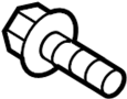 View Screw. Striker.  Full-Sized Product Image