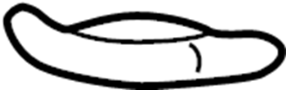 View Courtesy Light Full-Sized Product Image