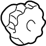 89039812 Seat Lumbar Adjustment Knob