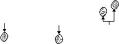 View Insulator. Pipe. Hanger. Muffler. (Front, Rear) Full-Sized Product Image