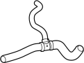 View Radiator Coolant Hose (Lower) Full-Sized Product Image