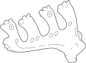 View Exhaust Manifold Heat Shield Full-Sized Product Image