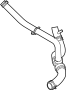 View Radiator Coolant Hose (Lower) Full-Sized Product Image 1 of 2