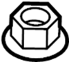 View NUT. Strut.  Full-Sized Product Image