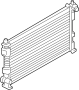 View Radiator Full-Sized Product Image 1 of 2