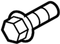 View Screw. Striker. Plate. Bolt.  Full-Sized Product Image