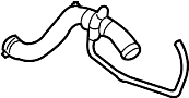 View Radiator Coolant Hose (Upper, Lower) Full-Sized Product Image