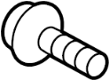 View Door Hinge Bolt (Upper, Lower) Full-Sized Product Image