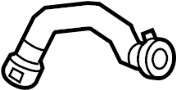 View Radiator Coolant Hose (Lower) Full-Sized Product Image
