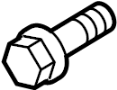View Screw. Striker. Plate. Bolt.  Full-Sized Product Image