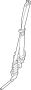 View Seat Belt Lap and Shoulder Belt (Rear) Full-Sized Product Image 1 of 3