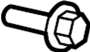 View Door Hinge Bolt (Upper, Lower) Full-Sized Product Image