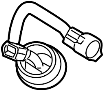 View Engine Wiring Harness Full-Sized Product Image