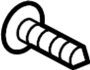 View Door Interior Trim Panel Screw Full-Sized Product Image 1 of 2