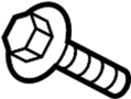 View Bolt.  Full-Sized Product Image
