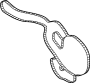 View Engine Water Pump Gasket Full-Sized Product Image