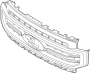 View Grille (Lower) Full-Sized Product Image 1 of 3