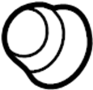 View Wiper. Seal. Arm. Glass.  Full-Sized Product Image