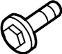View Screw. Pillar. Trim. (Upper) Full-Sized Product Image 1 of 7
