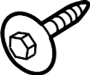 View Screw.  Full-Sized Product Image 1 of 5