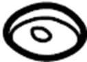 52038258 Shock. Absorber. Suspension. Washer. (Lower)