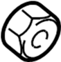View Nut. Strut. Mount. (Upper, Lower) Full-Sized Product Image 1 of 10