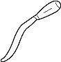 View Automatic Transmission Shift Lever Full-Sized Product Image 1 of 2