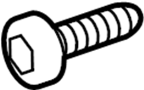 View Screw. Door. Trim. (Rear) Full-Sized Product Image