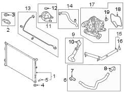 Radiator Coolant Hose (Upper, Lower)