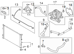 Radiator Coolant Hose (Upper, Lower)