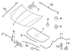 Hood Seal (Rear)