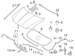 Hood Panel