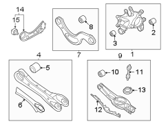 Suspension Trailing Arm (Right, Rear)