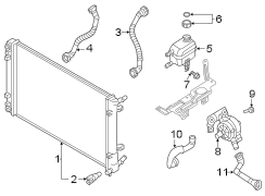 Hose. Radiator. (Upper). Flexible Hose that is.