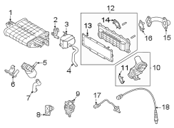 Exhaust Gas Recirculation (EGR) Valve