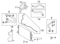 Engine Coolant Overflow Hose