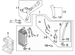 Intercooler Pipe (Lower)