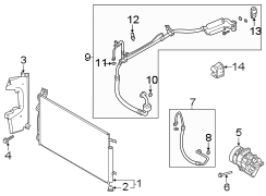 Hose - Discharge. 