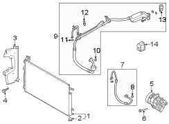 Hose - Discharge. 