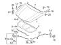 Diagram HOOD & COMPONENTS. for your Hyundai