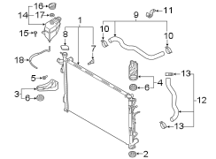 Image of Radiator Coolant Hose (Upper) image for your Hyundai