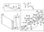 Diagram HOSES & LINES. for your 2021 Hyundai Santa Fe