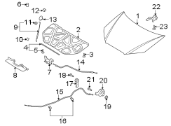 Diagram Hood & components. for your Hyundai