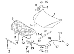 Diagram HOOD & COMPONENTS. for your Hyundai