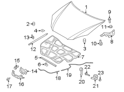 Diagram HOOD & COMPONENTS. for your 2017 Hyundai Accent SE Hatchback 1.6L