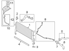 Radiator Coolant Hose (Upper)